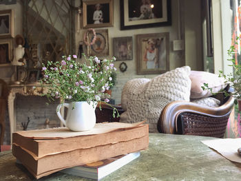 Potted plants on table at home