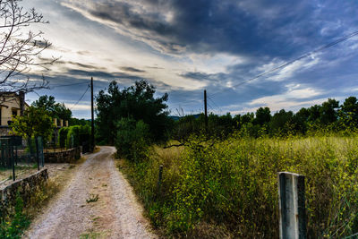 Road amidst trees against sky