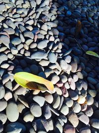 Full frame shot of stones