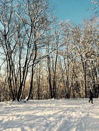 Bare trees on snow covered landscape