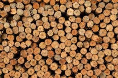 Full frame shot of logs