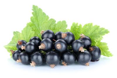 Close-up of blueberries against white background