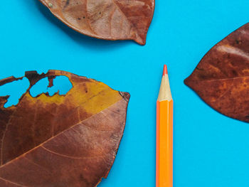 High angle view of multi colored pencils against blue background