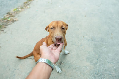 Man holding dog