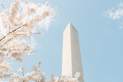 Low angle view of cherry blossom against sky