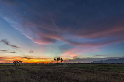 Scenic view of field against sky during sunset