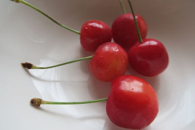 Close-up of cherries in bowl