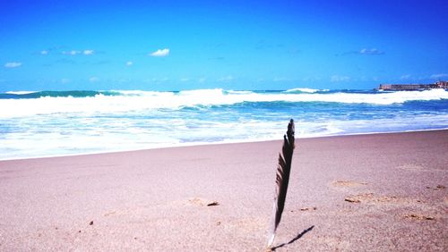 Scenic view of beach against blue sky