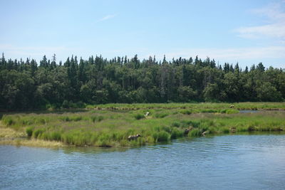 Scenic view of lake against sky