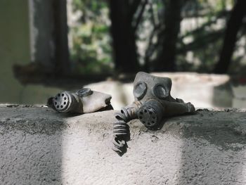 Close-up of gas masks on wall