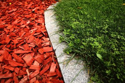 High angle view of leaves on footpath