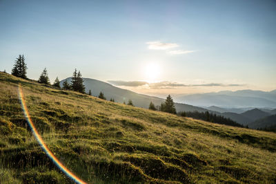 Scenic view of field against sky during sunset