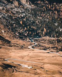 High angle view of trees on landscape