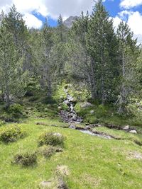 Scenic view of land against sky