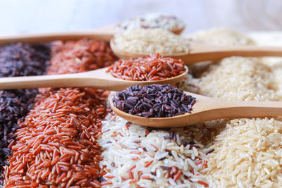 Close-up of food on table