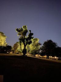 Silhouette trees by road against sky at night