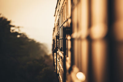 Cropped image of train moving by plants