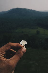 Cropped hand holding flower against mountain