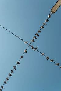 Low angle view of barbed wire against clear sky