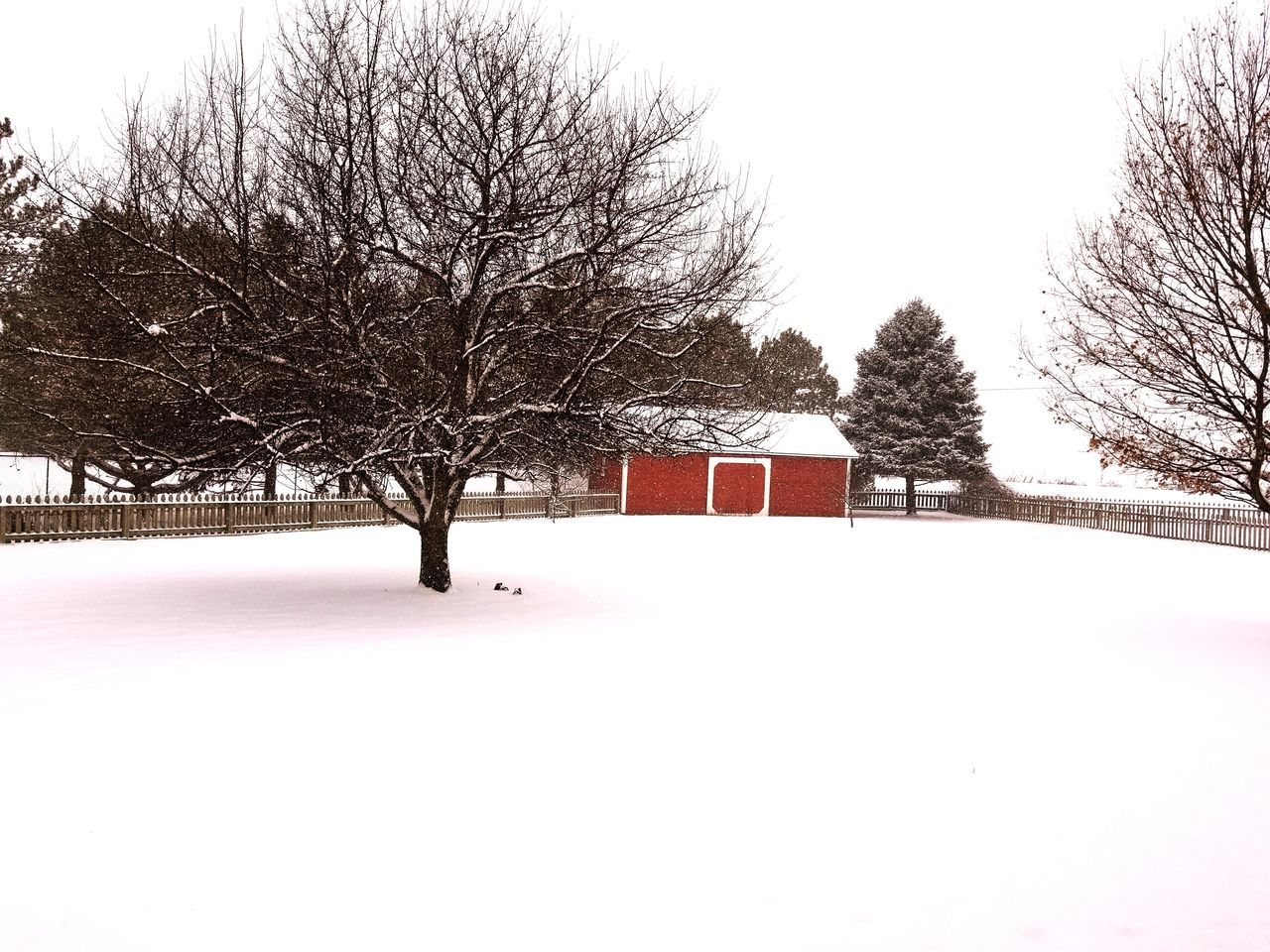 Snowy terrain