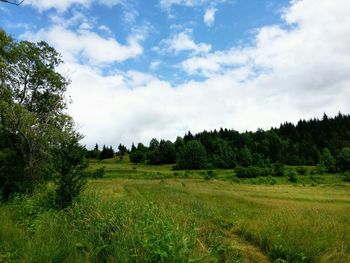 Scenic view of field against cloudy sky