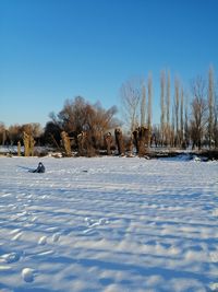 Scenic view of snow covered field against clear sky