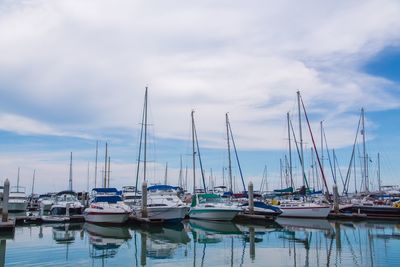 Boats in harbor