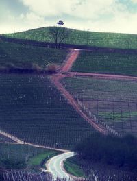 Aerial view of agricultural field against sky