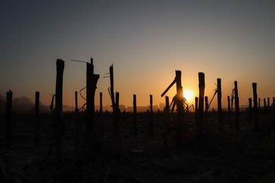 Silhouette wooden posts on field against sky during sunset