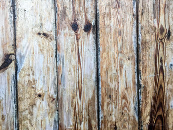 Close-up of wooden plank