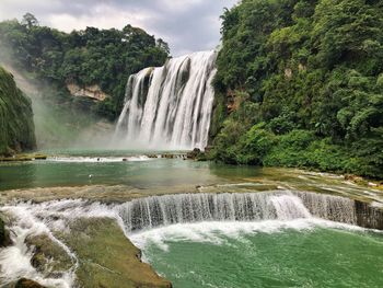 Scenic view of waterfall in forest