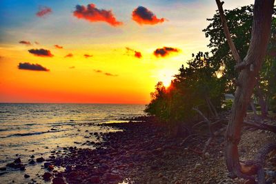 Scenic view of sea against sky during sunset