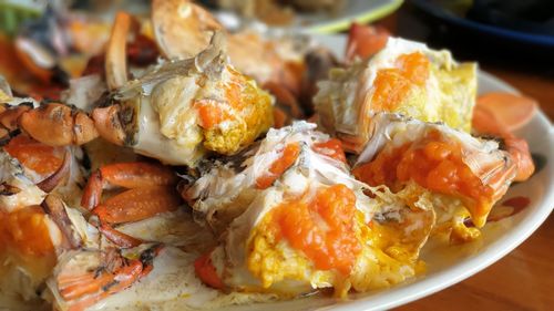 Close-up of meal served in plate