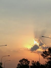 Silhouette trees against sky during sunset