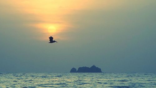 Scenic view of sea at sunset