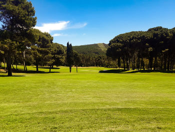 Scenic view of golf course against sky