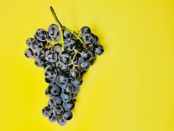 Close-up of fruit against yellow background