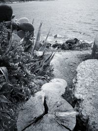 High angle view of man on rocks at beach