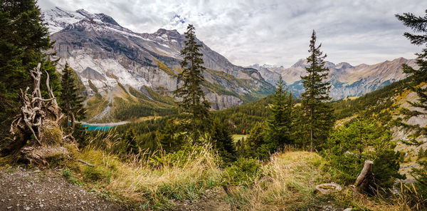 Scenic view of pine trees and mountains against sky