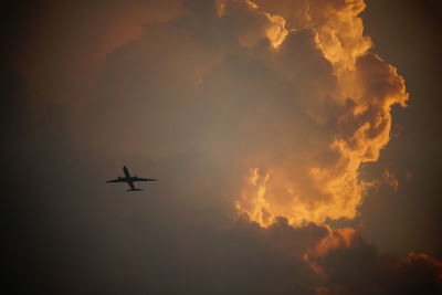 Low angle view of silhouette airplane against sky during sunset