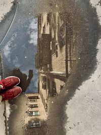 Low section of person in puddle on street