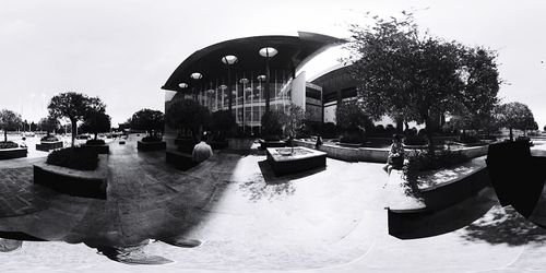 Reflection of trees in water