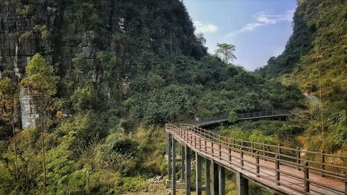 Footbridge by tree mountains against sky