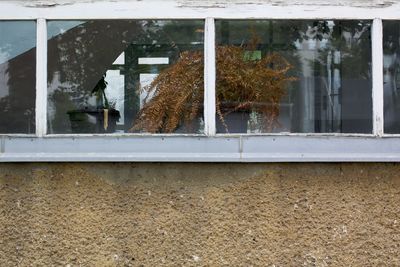 Window of building