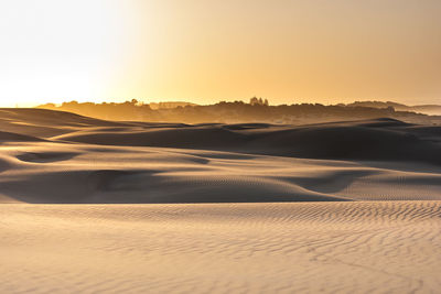 Scenic view of desert against clear sky during sunset