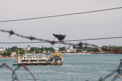 Birds flying over river against sky