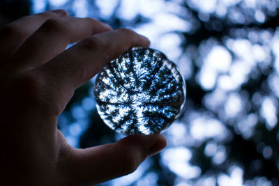 Close-up of hand holding crystal ball against trees