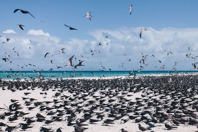 Scenic view of sea against sky