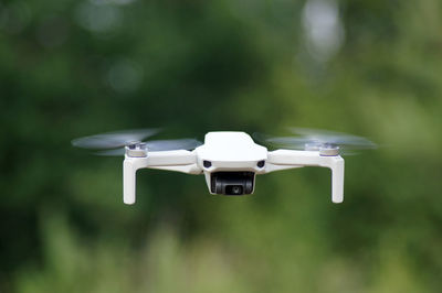 Close-up of a bird flying