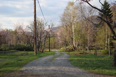 Road amidst trees against sky